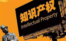 全国政协委员蔡金钗：保护知识产权就是保护企